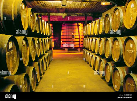 Herstellung von Cognac, im Inneren der Hennessy-Weinkeller ...