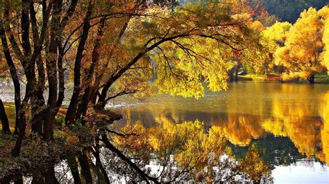 Pretty Fall Backgrounds 51 Images