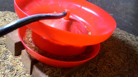 Maybe you would like to learn more about one of these? Inkubator @ incubator Mesin Eram / Penetasan Telur