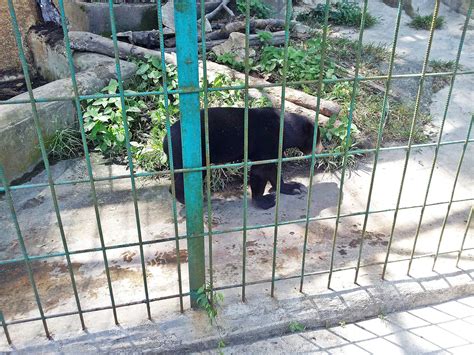 Taman teruntum mini zoo ligger i kuantan. MINI ZOO TERUNTUM KUANTAN PAHANG - BLOG MUMMYINTHEHOUSE