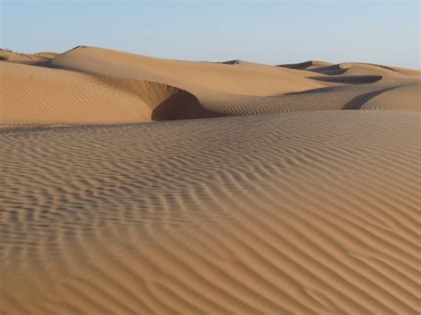 Free Images Landscape Desert Dune Habitat Ecosystem Sahara Wadi