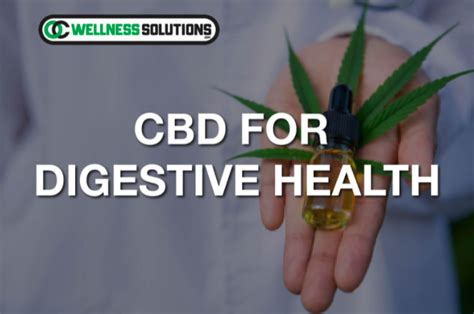 Cbd And Digestive Help How Can It Promote Gut Health