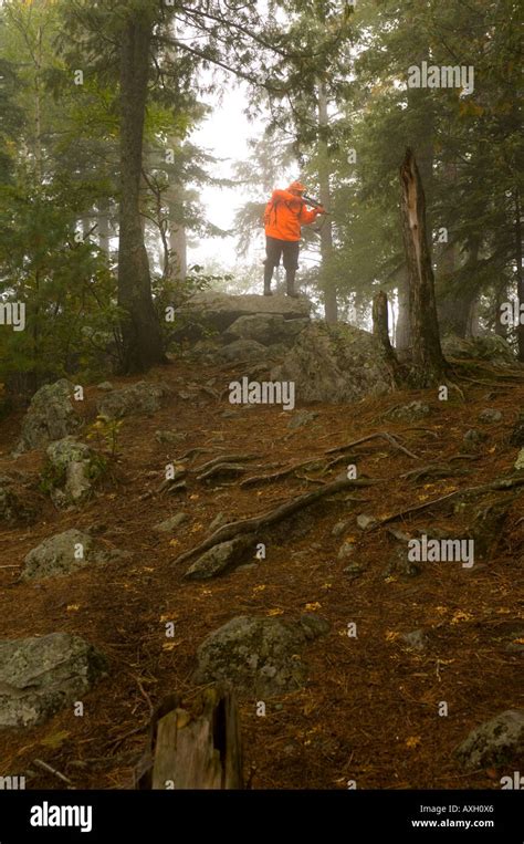 Eine Deer Hunter In Blaze Orange Auf Ridgeline Im Nebligen Wald Zielt