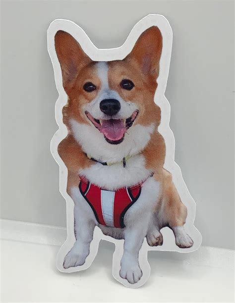 Custom Pet Stickers Realistic Sticker Of Your Pets Etsy