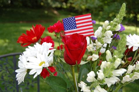 Find the perfect rose picture from over 40,000 of the best rose images. red white blue flowers with flag | Fiesta Flowers Plants ...