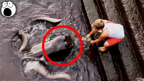 News Top Strangest Creatures Ever Caught On Camera
