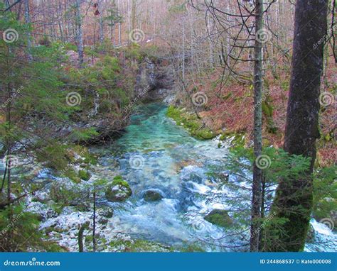 Creek Mostnica At Mostnica Gorge Or Korita Mostnice Stock Image Image