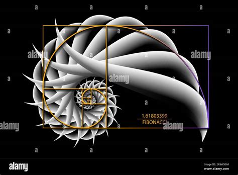 Fibonacci Sequence Golden Ratio Geometric Shapes Spiral 3d Snail