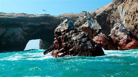 Ballestas Islands Updated Info And Prices Blog Machu Travel Peru
