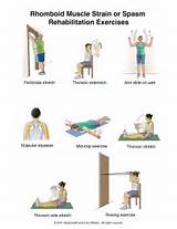 Upper Back Exercises For Seniors Images