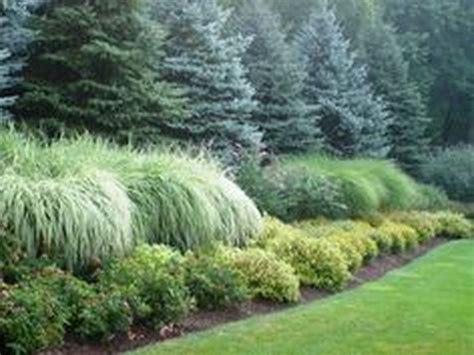 Amazing Evergreen Grasses Landscaping Ideas38 Landscape Design