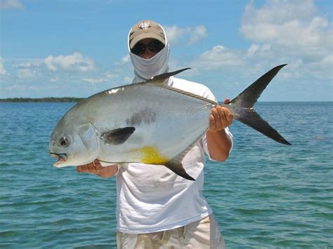 The Best Florida Saltwater Fishing 6672 Floridasaltwaterfishing