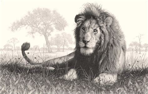 Realistic Animals Drawing at GetDrawings | Free download Leopard in graphite by sarahharas07 on deviantart.