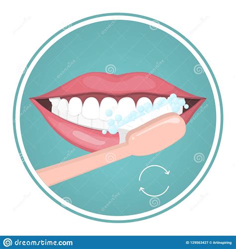 How To Brush Your Teeth With Toothbrush Stock Vector Illustration Of Infographic Dental