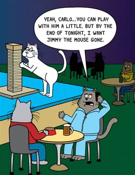 Funny Cat Cartoons 38 Pics