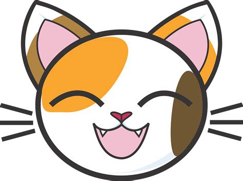 Cats Cartoon Png 20 Free Cliparts Download Images On Clipground 2021