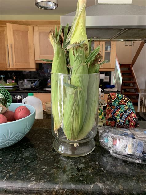 Order flowers online from your florist in houston, tx. Mother in-law put fresh corn in a flower vase ...