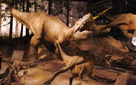 10 Facts About Albertosaurus