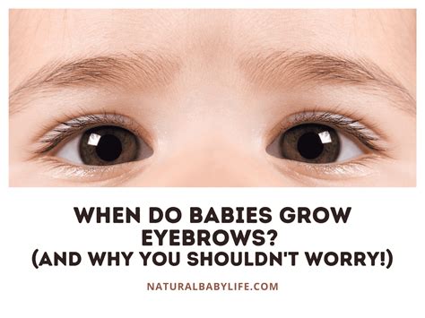 When Do Babies Eyelashes And Eyebrows Get Darker Jumpvanhalenmidi