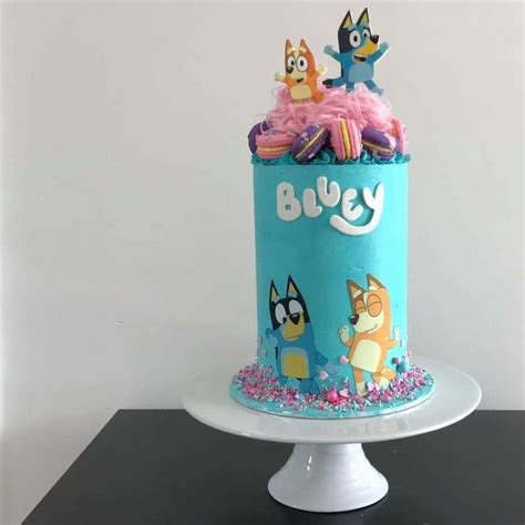 Pictures Of Bluey Cakes