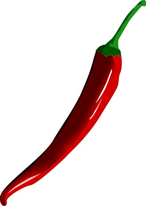 free chili pepper cliparts download free chili pepper cliparts png images free cliparts on