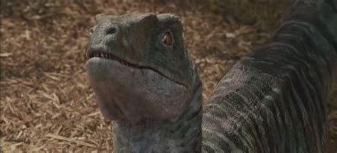 Charlie Raptor Jurassic Park Wiki Fandom Powered By Wikia