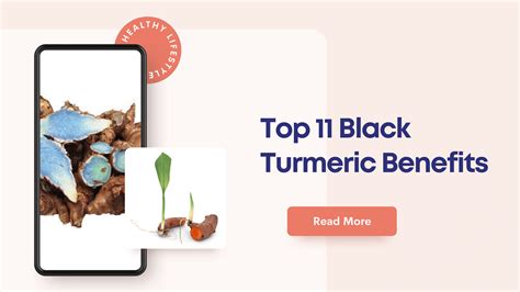 Top Black Turmeric Benefits Healthy Lifestyle