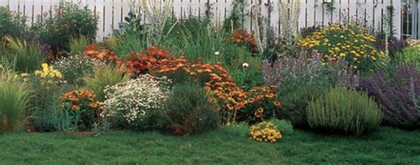 Composting is great for your garden and the environment. Using Compost - NCCC