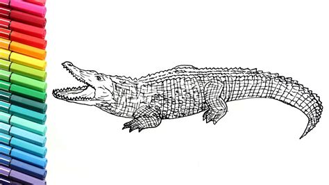 Download Drawing and Coloring Crocodile - Learn to Draw Wild ...