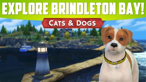 Ps4 Sims 4 Cats And Dogs Kasapdevelopment