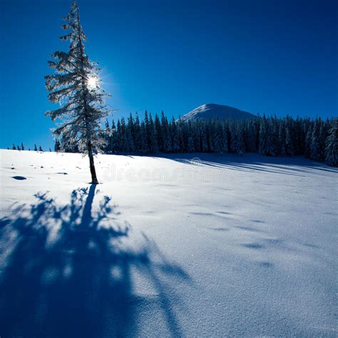 Carpathian Winter Mountains Stock Image Image Of Cliff Travel 28008715