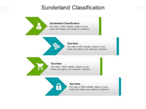 Sunderland Classification Ppt Powerpoint Presentation Infographics