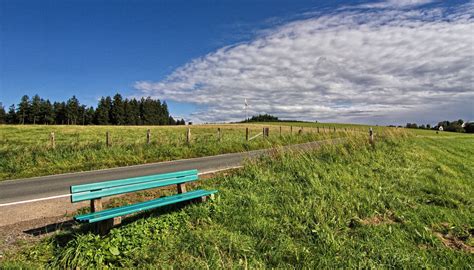 Geldeinsatz eines einzelnen bankhalters, der gegen alle anderen spieler spielt oder den einsatz verwaltet. Die Bank Foto & Bild | september, world, wald Bilder auf ...