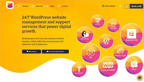 8 Best Wordpress Maintenance Services And Plans Compared