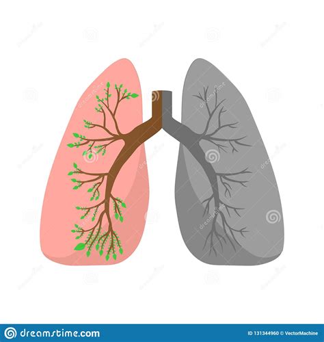 Normal Lung Lung Cancer Stock Illustrations - 95 Normal Lung Lung 