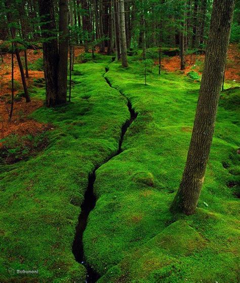 Belas Imagens Que A Natureza Nos Oferece