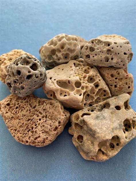 Sea Stones Porous Sea Rocks Porous Marine Pebbles Aquarium Etsy