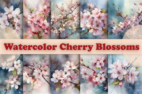 Watercolor Cherry Blossoms Graphic By Aamo · Creative Fabrica