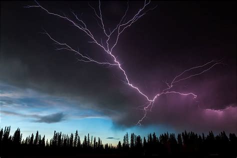 1080p Free Download Summer Lightning Forest Bonito Sky Lightning