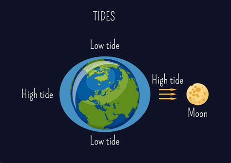 Curious Kids How Does The Moon Being So Far Away Affect The Tides On