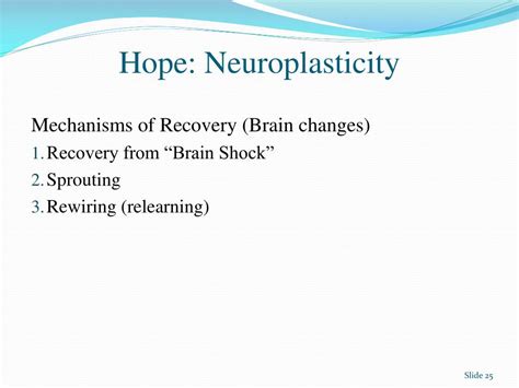 Ppt The Impact Of Brain Injury Mechanisms Of Damage Deficit