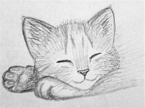 Cómo Dibujar Un Gato A Realista Draw A Realistic Cat With Pencil