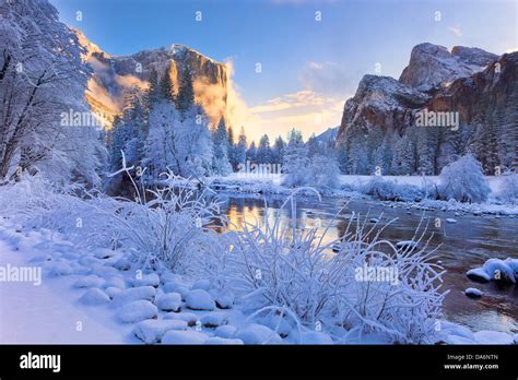 Usa Usa Amerika Yosemite Valley Kalifornien Schnee Bäume Winter
