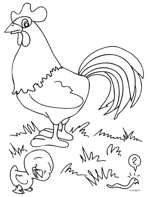 coloring page animals coloring pages