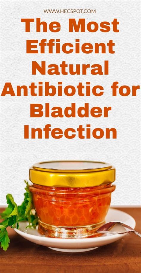 41 bladder infection relief home remedy images jacob j sayre