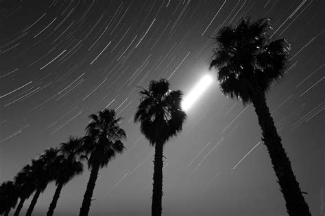 Black and white moon over water pictures, photos, and. Moontrail and the Palm Trees of Orada´s Convent ...