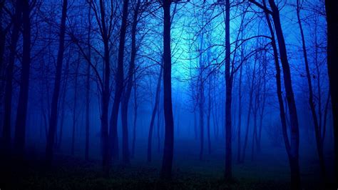 Dreamy Forest Wallpapers Top Free Dreamy Forest Backgrounds