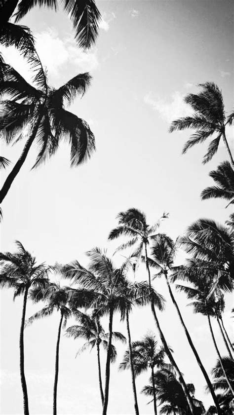 Black And White Palm Tree Background Iphone Backgrounds Palm