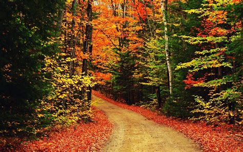 Fall Scenery Wallpapers - Wallpaper Cave