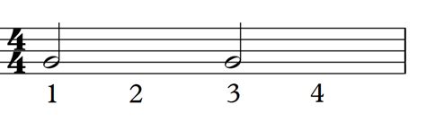 Quarter Note Half Note And Whole Note The Basics Of Rhythm